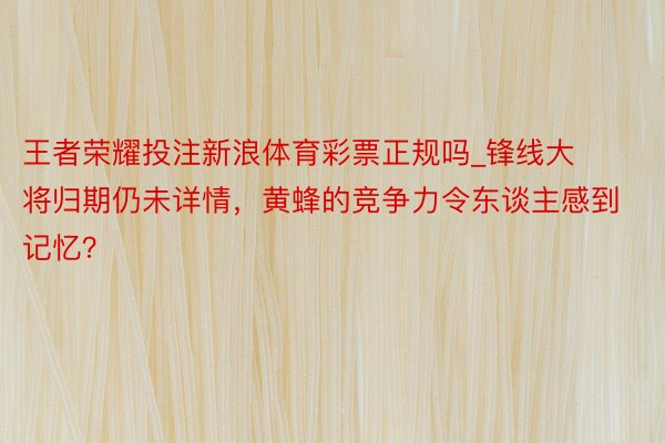 王者荣耀投注新浪体育彩票正规吗_锋线大将归期仍未详情，黄蜂的竞争力令东谈主感到记忆？