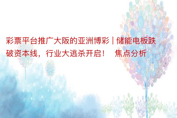 彩票平台推广大阪的亚洲博彩 | 储能电板跌破资本线，行业大逃杀开启！  焦点分析