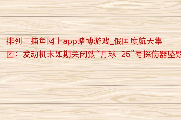 排列三捕鱼网上app赌博游戏_俄国度航天集团：发动机未如期关闭致“月球-25”号探伤器坠毁