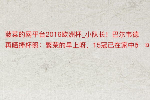 菠菜的网平台2016欧洲杯_小队长！巴尔韦德再晒捧杯照：繁荣的早上呀，15冠已在家中🤍